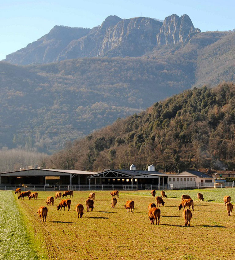 La Vall d'en Bas